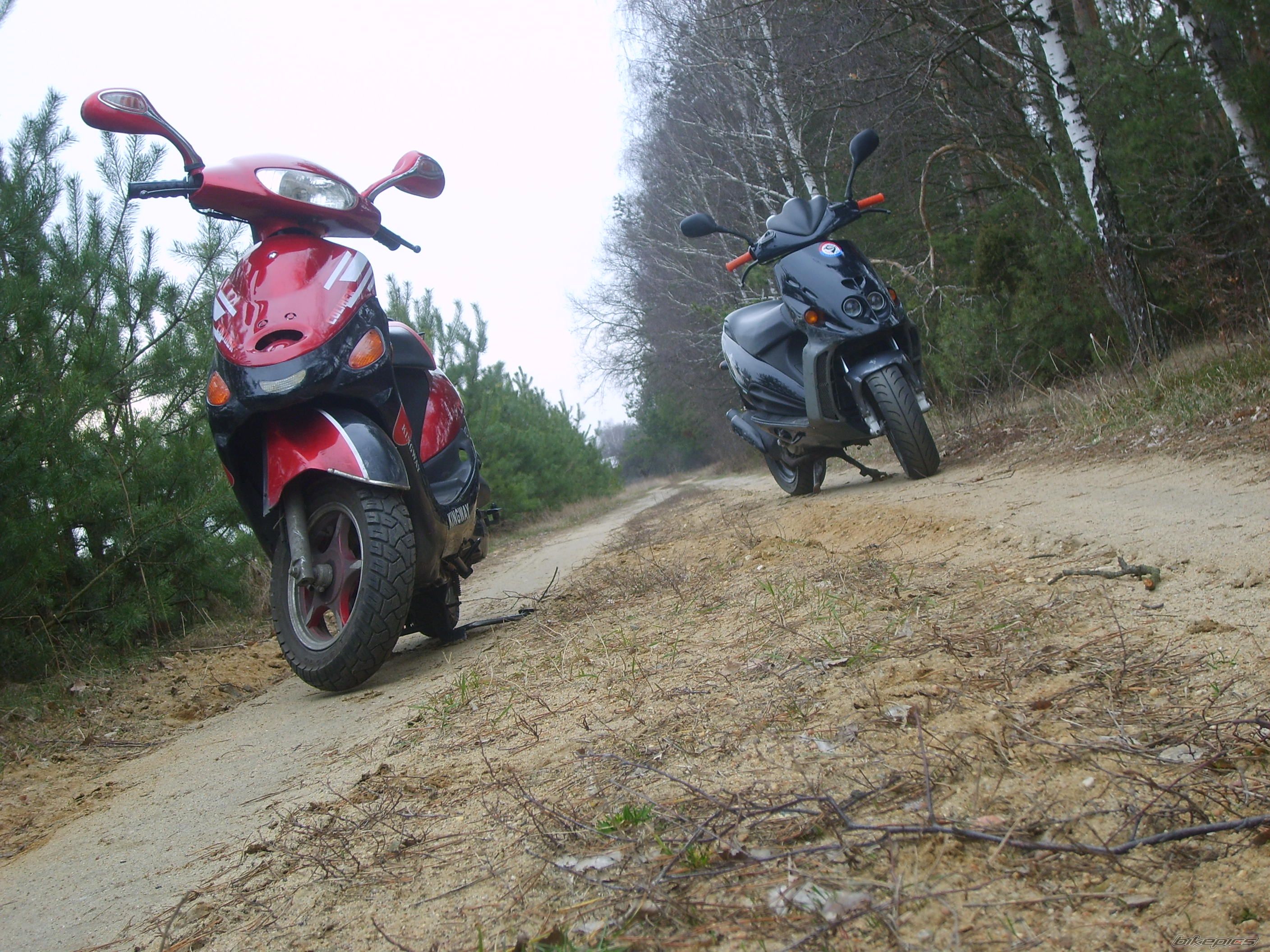    | Picture 1219933 motorcycle photo