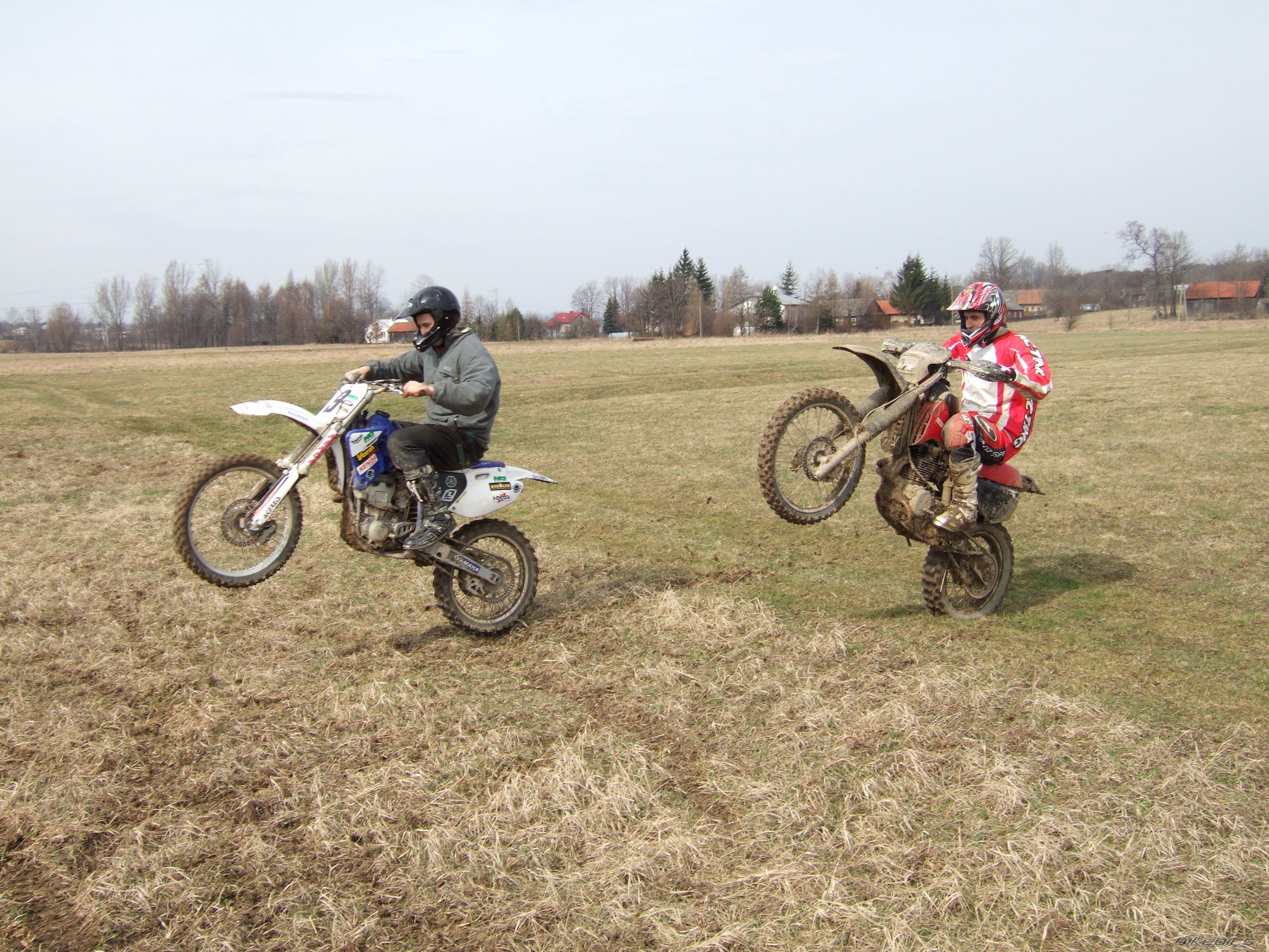 1988 YAMAHA TTR 350 | Picture 1220099 motorcycle photo