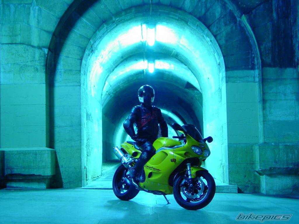 1998 TRIUMPH DAYTONA 955I | Picture 122017 motorcycle photo