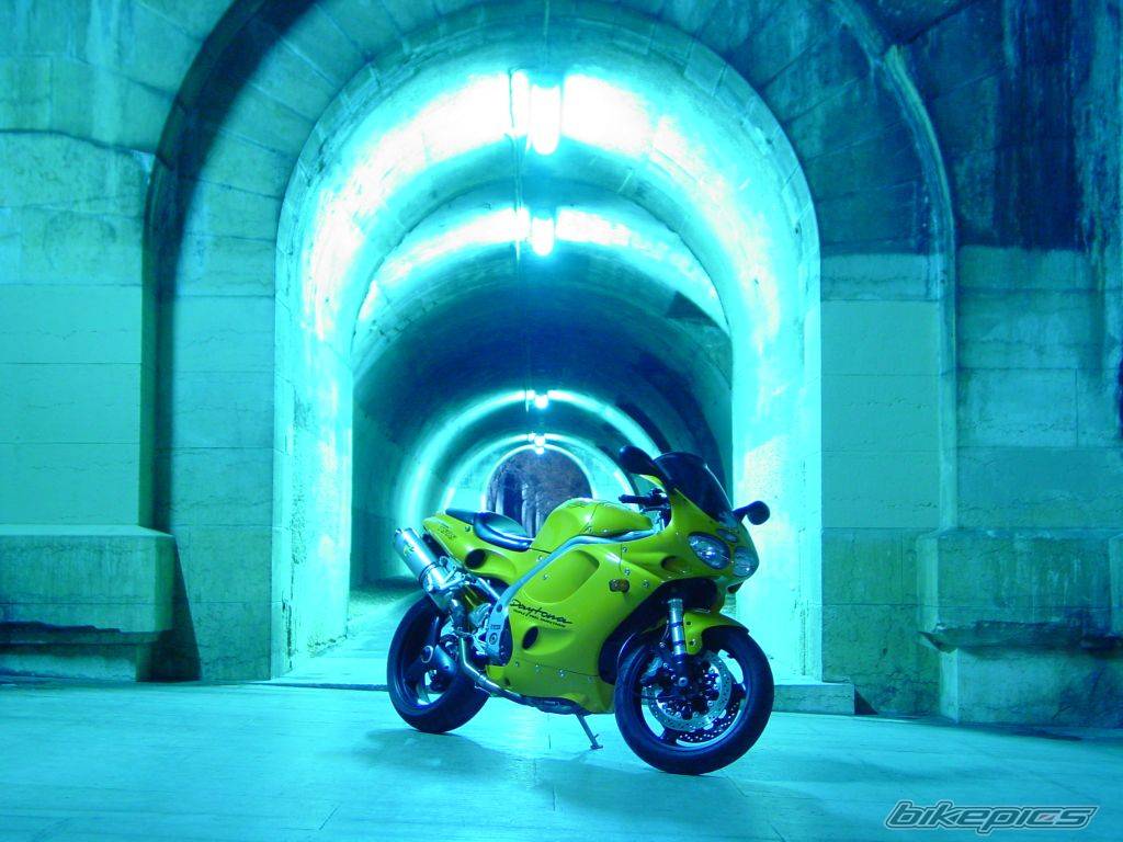 1998 TRIUMPH DAYTONA 955I | Picture 122022 motorcycle photo