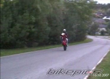 1994 APRILIA RS 50 | Picture 1220360 motorcycle photo