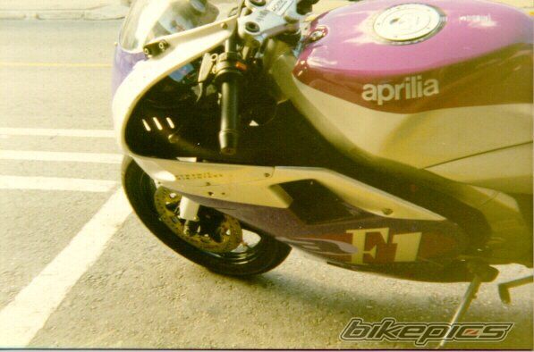 1996 APRILIA AF1 FUTURA 50 | Picture 1220572 motorcycle photo