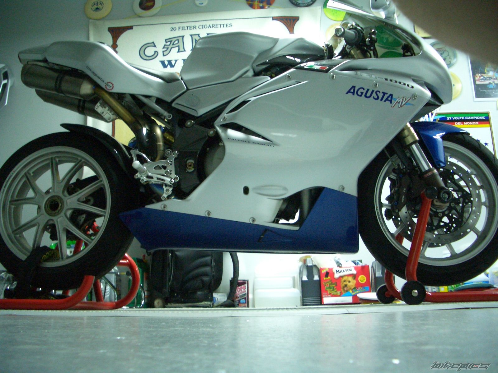 2005 MV AGUSTA F4 1000 | Picture 1220779 motorcycle photo