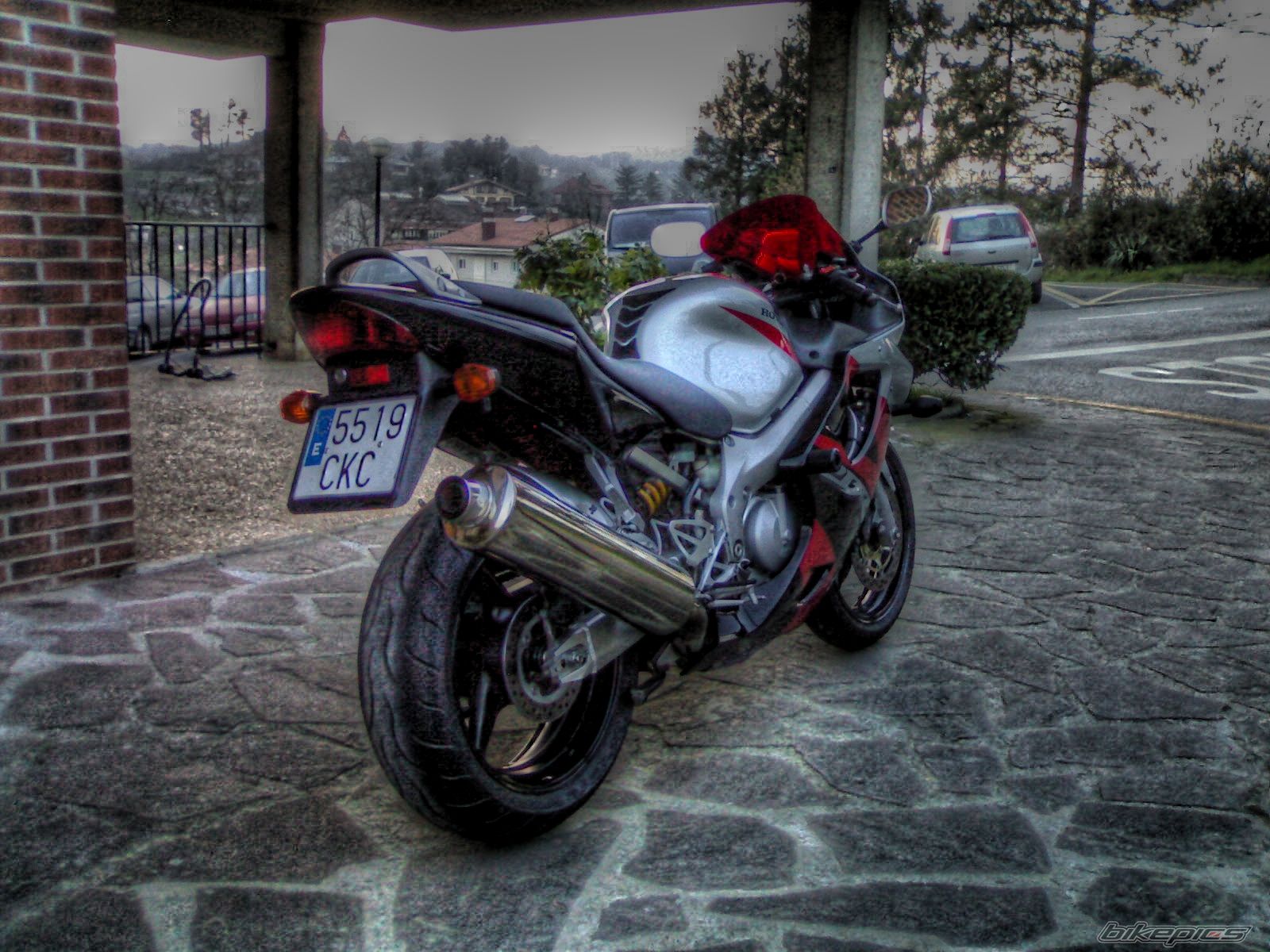2003 HONDA CBR 600 | Picture 1221451 motorcycle photo