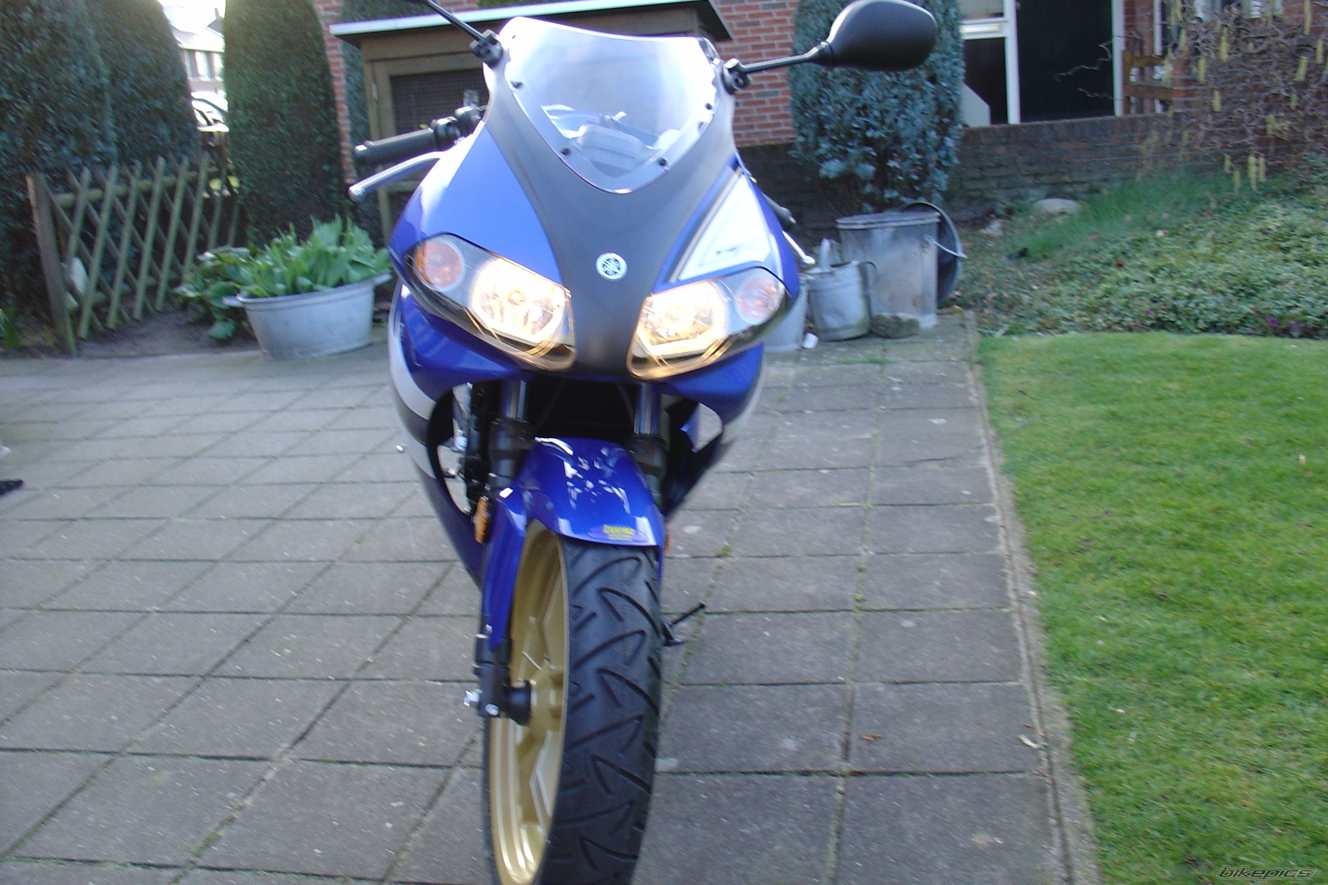2008 YAMAHA TZR 50 | Picture 1222104 motorcycle photo
