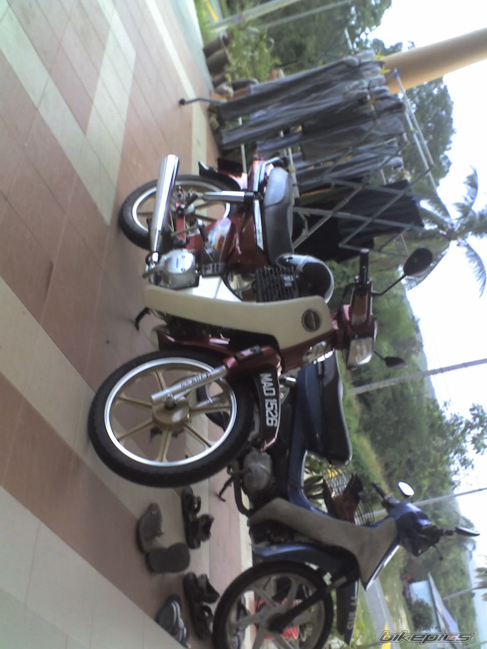1994 HONDA EX5 DREAM | Picture 1222866 motorcycle photo