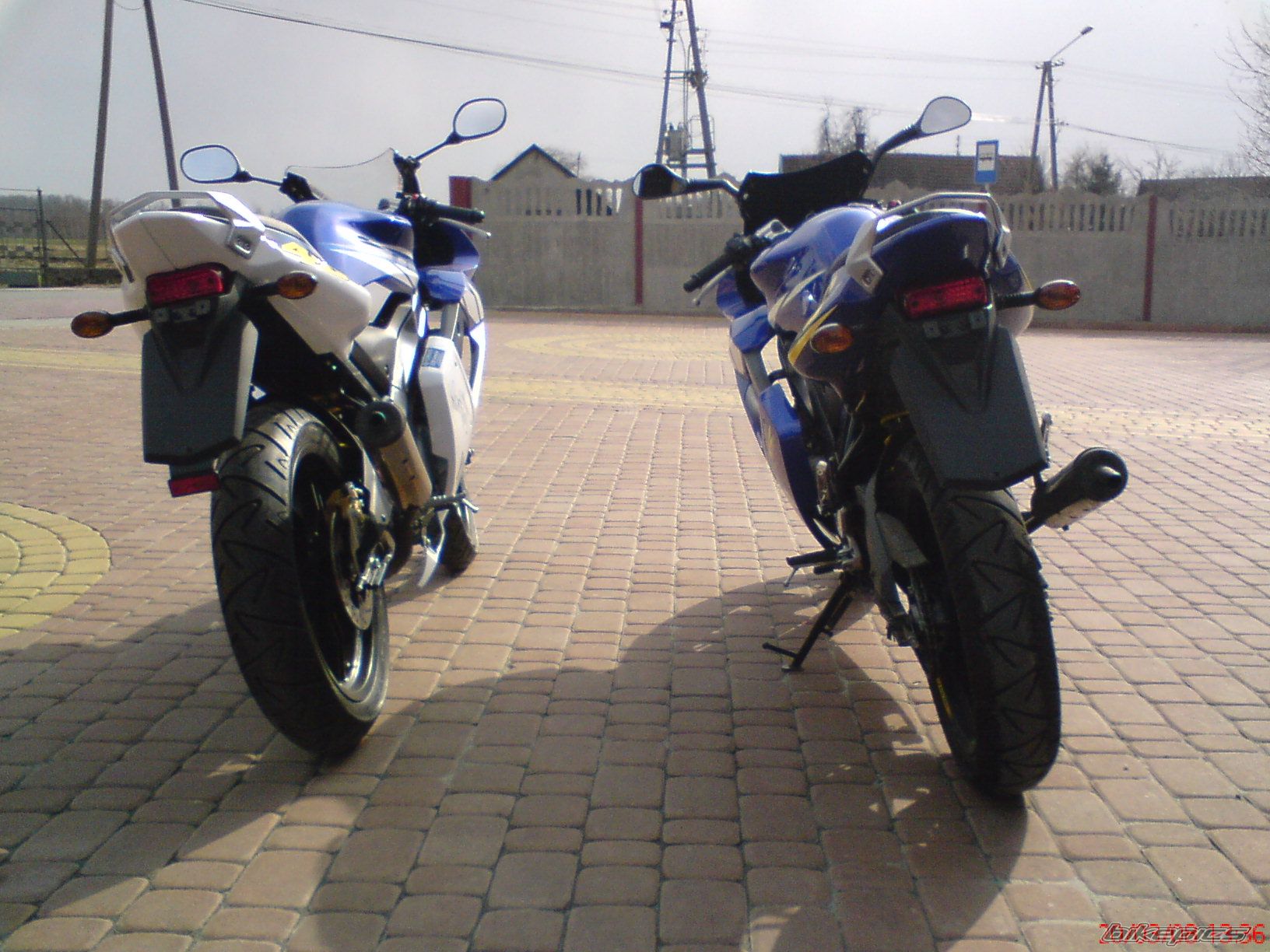 2008 YAMAHA TZR 50 | Picture 1223102 motorcycle photo