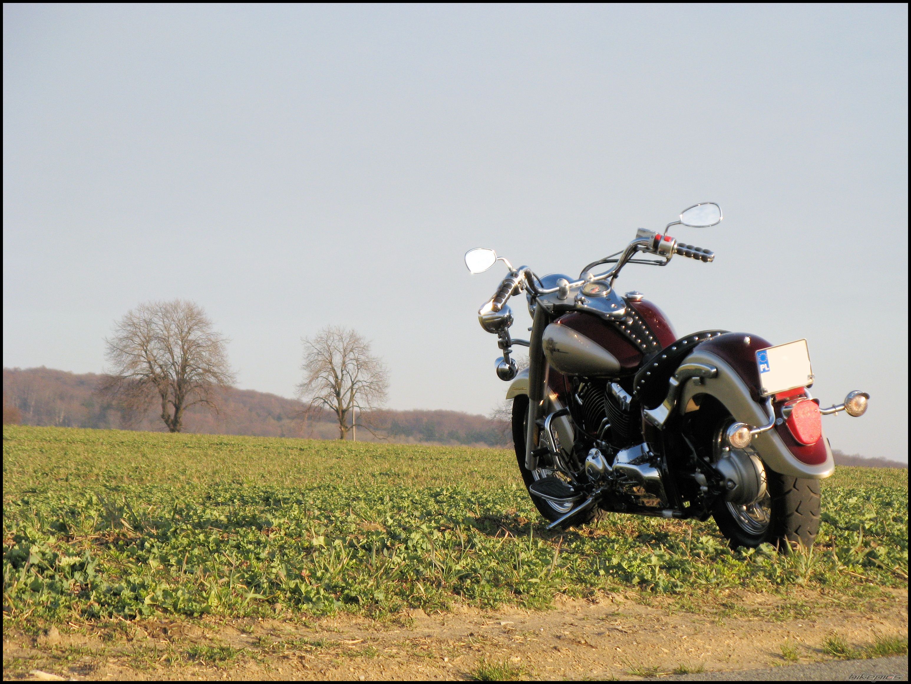 2003 YAMAHA XVS 650 V STAR | Picture 1223694 motorcycle photo