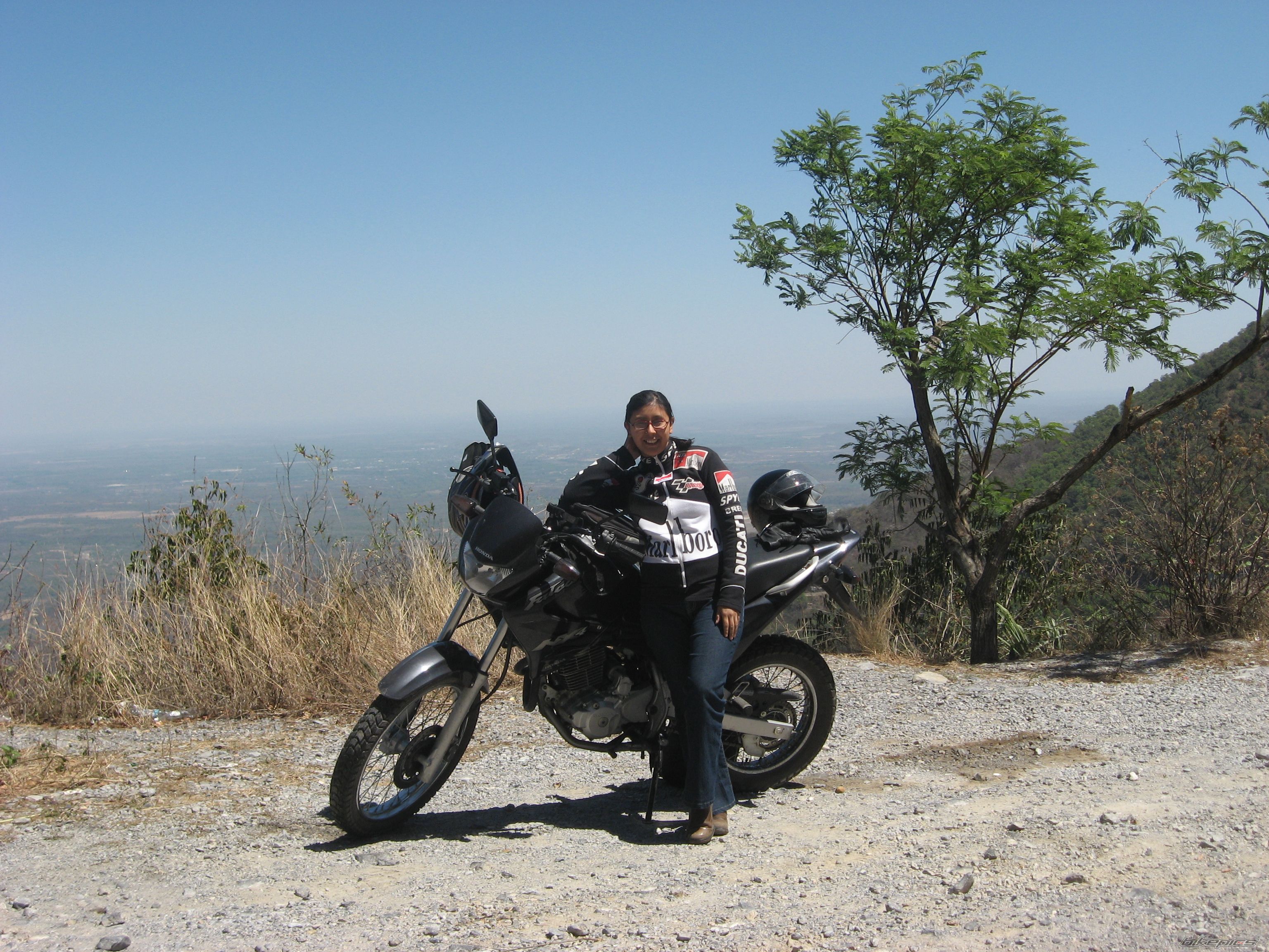 2002 HONDA NX 4 FALCON | Picture 1224457 motorcycle photo