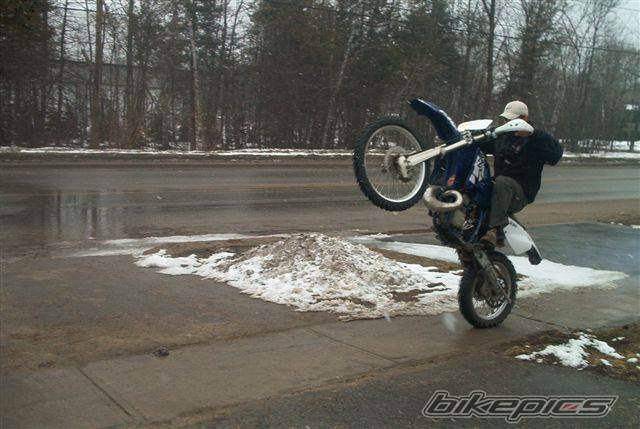 1997 YAMAHA WR 250 | Picture 122481 motorcycle photo