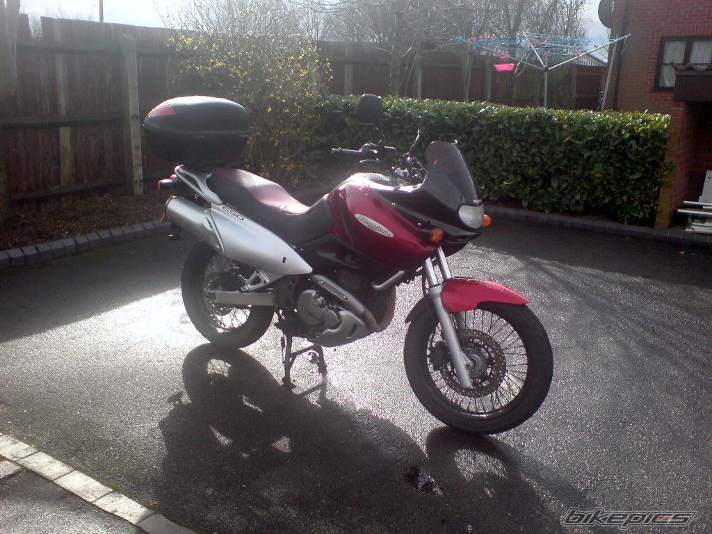 1998 SUZUKI XF 650 | Picture 1225171 motorcycle photo