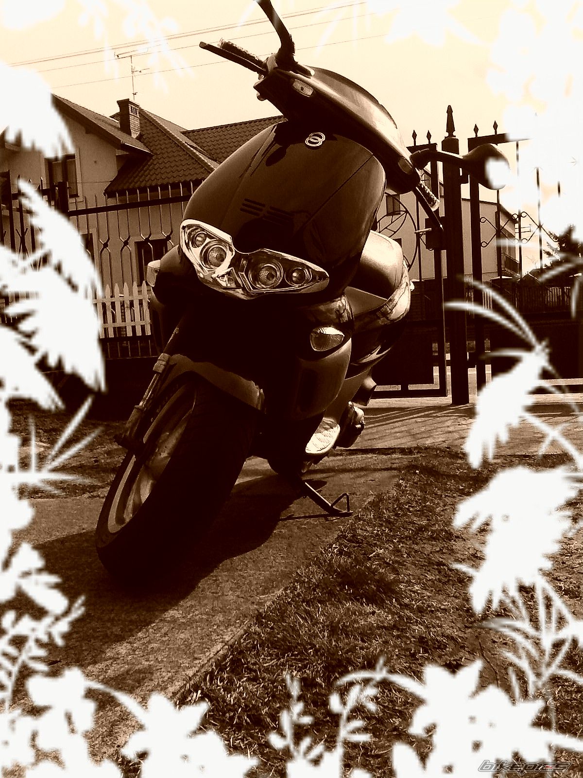 1997 GILERA RUNNER 50 | Picture 1225857 motorcycle photo