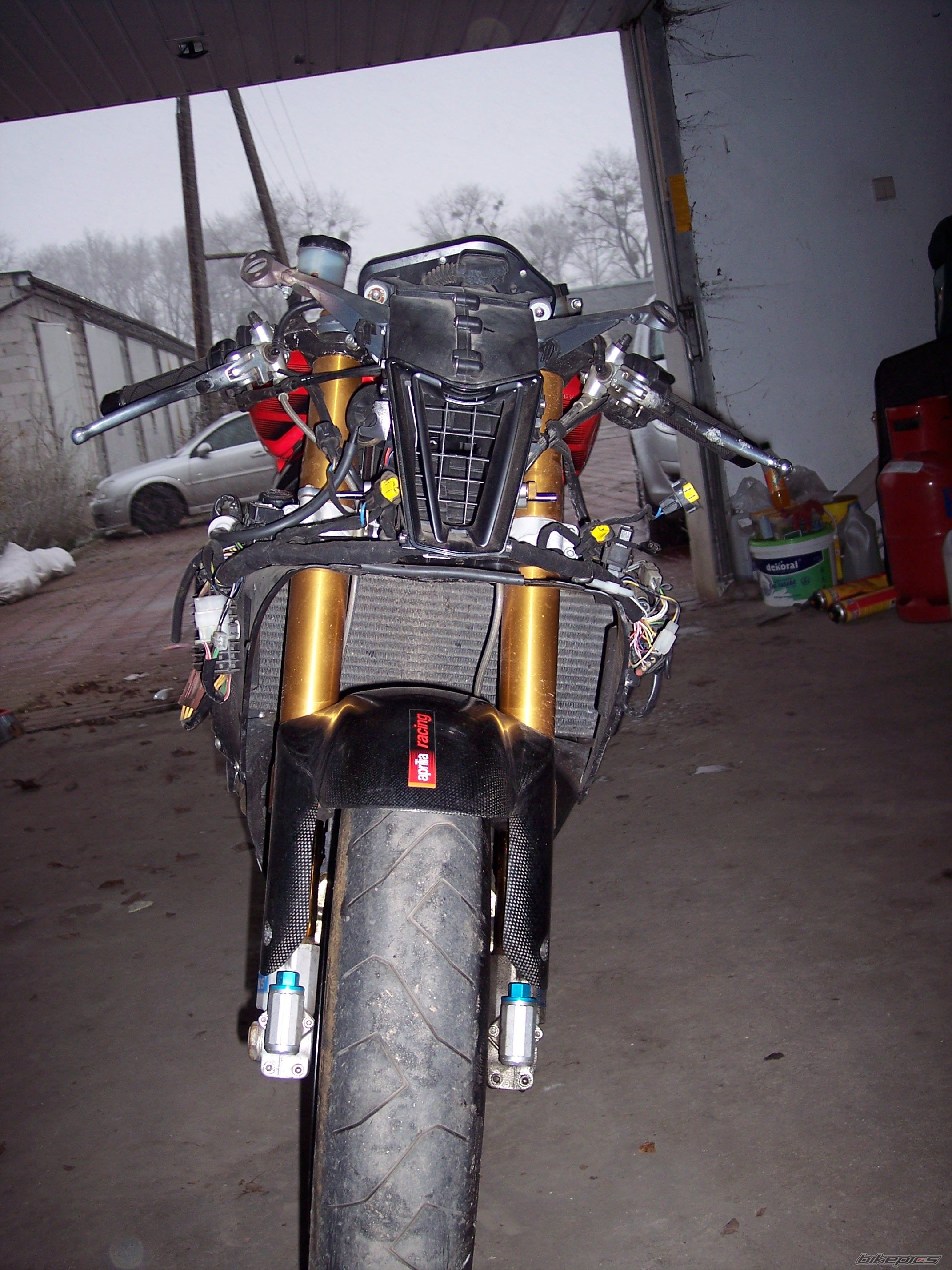 2004 APRILIA RSV MILLE FACTORY | Picture 1226223 motorcycle photo