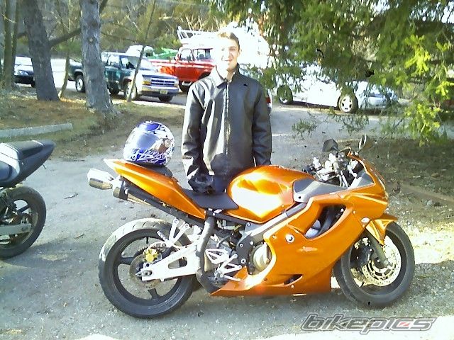 2001 HONDA CBR 600 | Picture 1226297 motorcycle photo