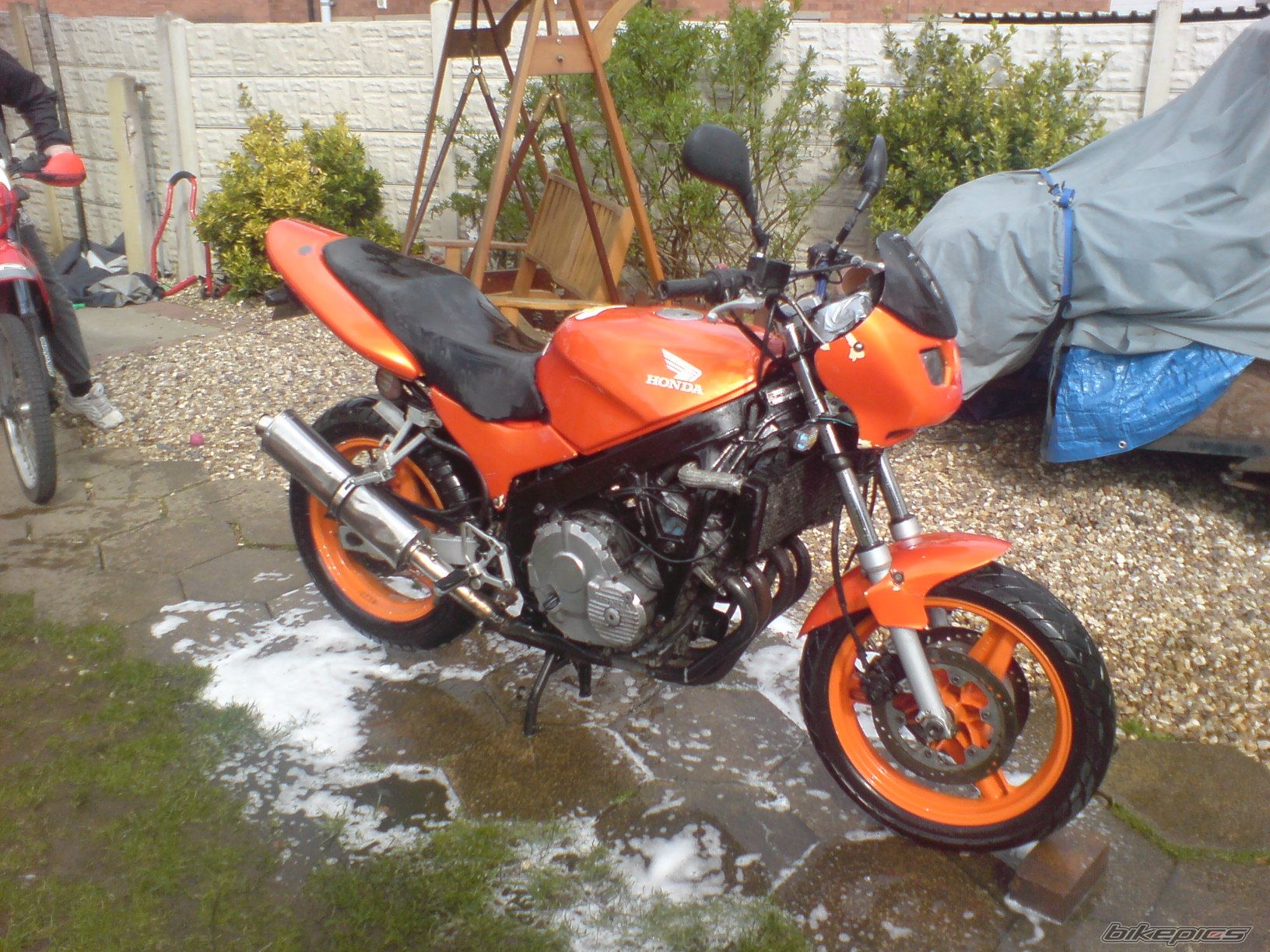 1988 HONDA CBR 600 FS | Picture 1226298 motorcycle photo