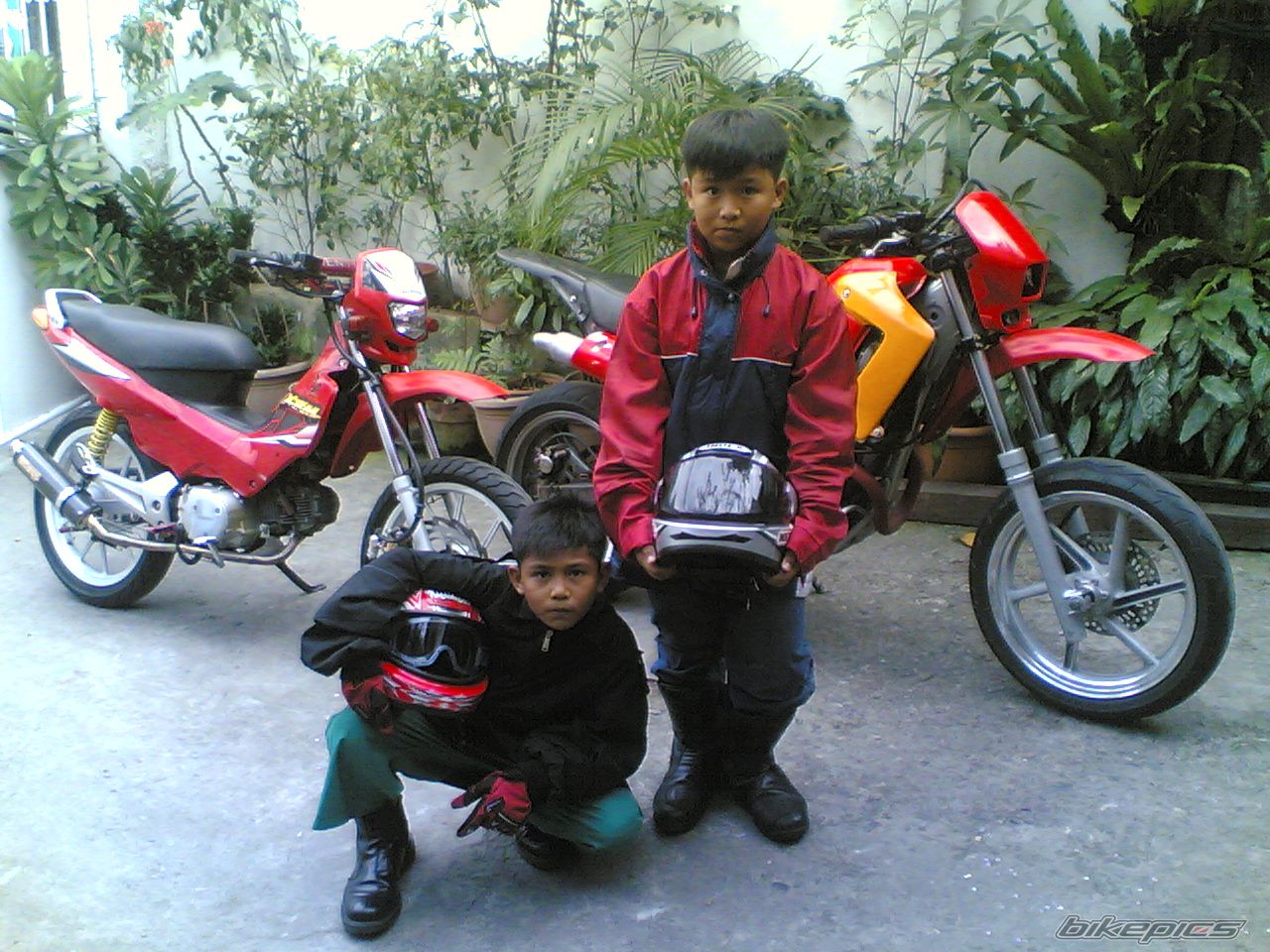 1996 HONDA XL 250 | Picture 1226346 motorcycle photo