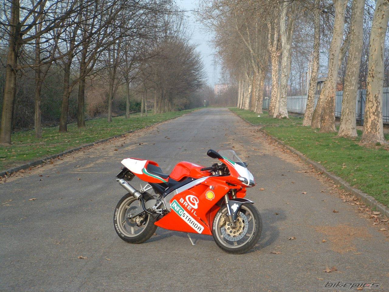 2001 CAGIVA MITO 125 | Picture 122695 motorcycle photo