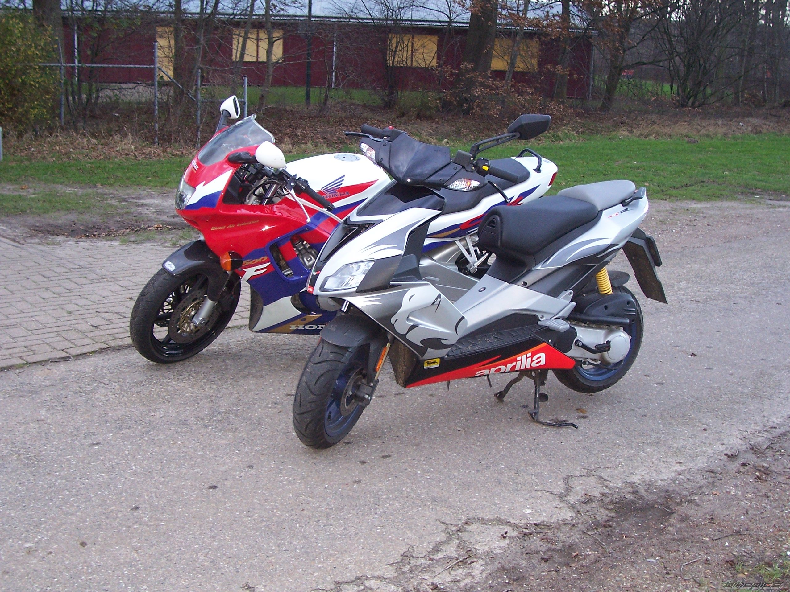 2006 APRILIA SR 50 | Picture 1227078 motorcycle photo