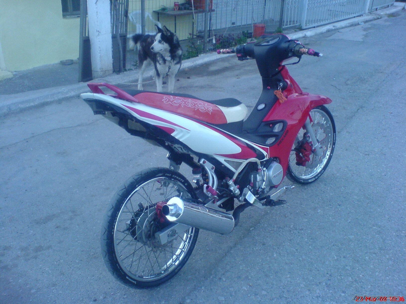 1995 YAMAHA 125 Z | Picture 1227165 motorcycle photo