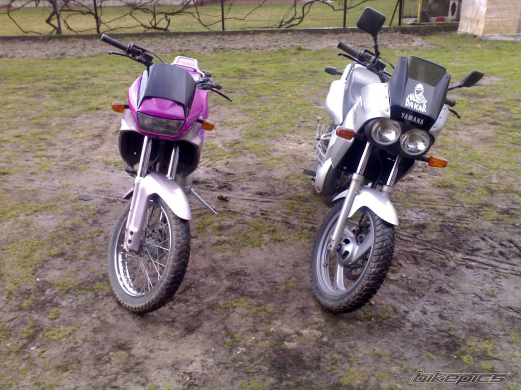 1991 APRILIA PEGASO 125 | Picture 1227363 motorcycle photo