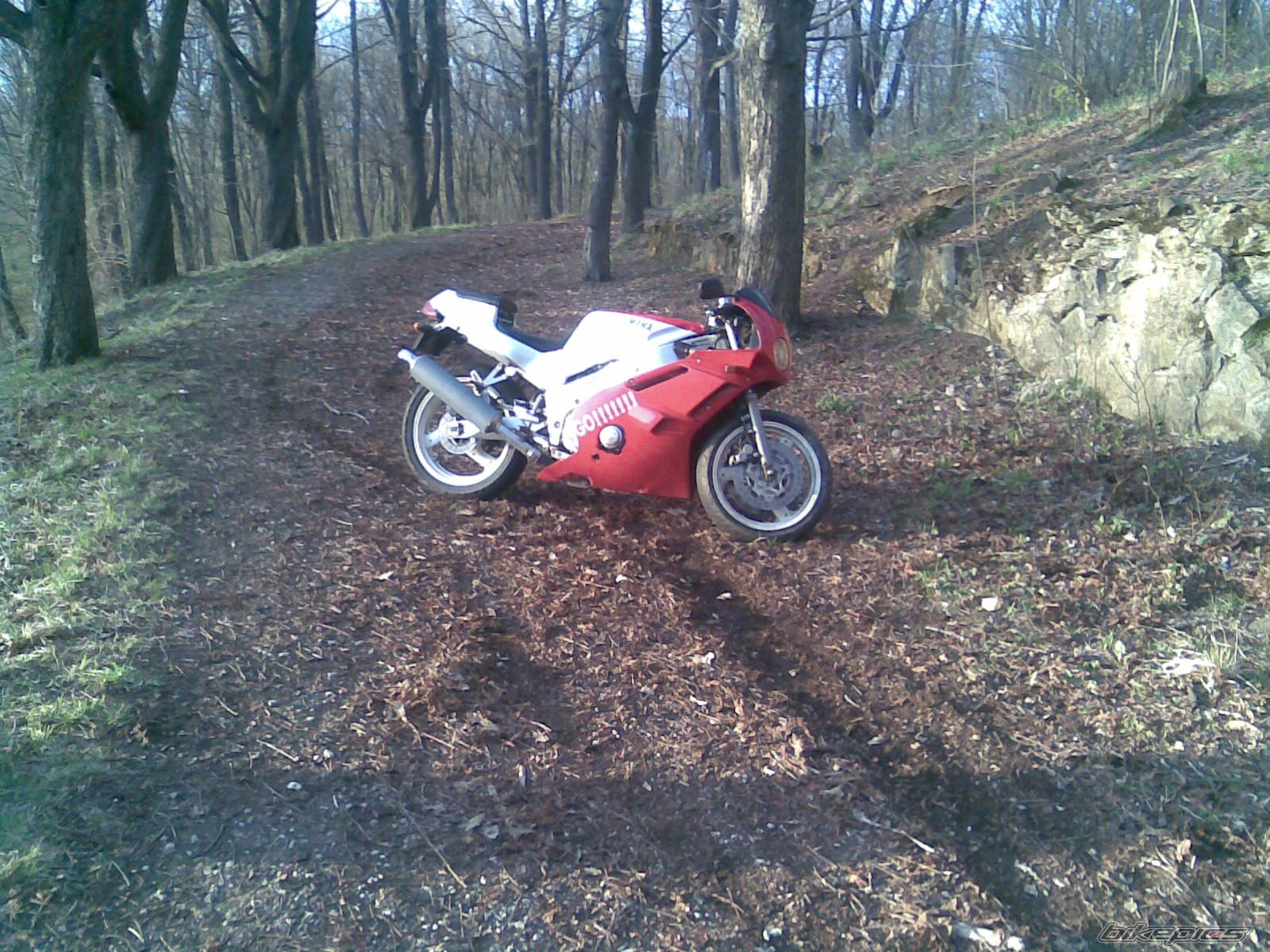 1992 YAMAHA FZR 400 EXUP | Picture 1227487 motorcycle photo