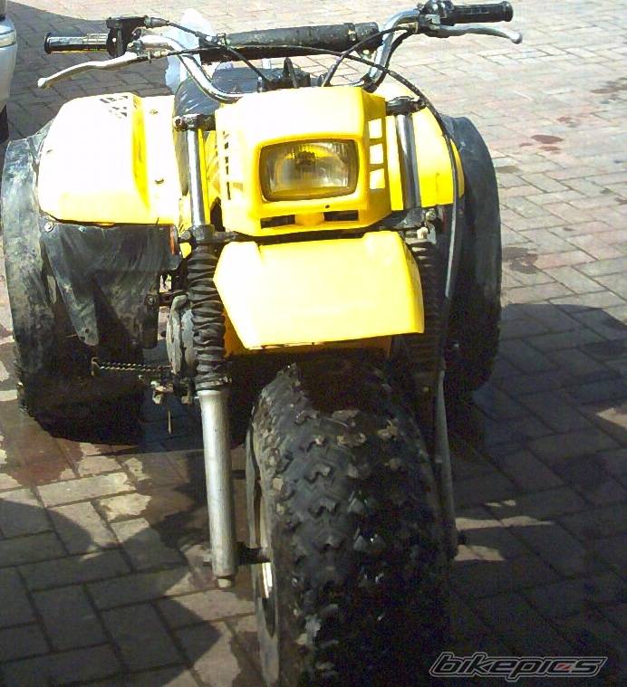 1984 YAMAHA YTM 225 | Picture 122773 motorcycle photo