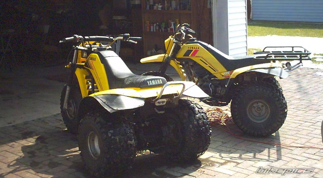 1984 YAMAHA YTM 225 | Picture 122775 motorcycle photo