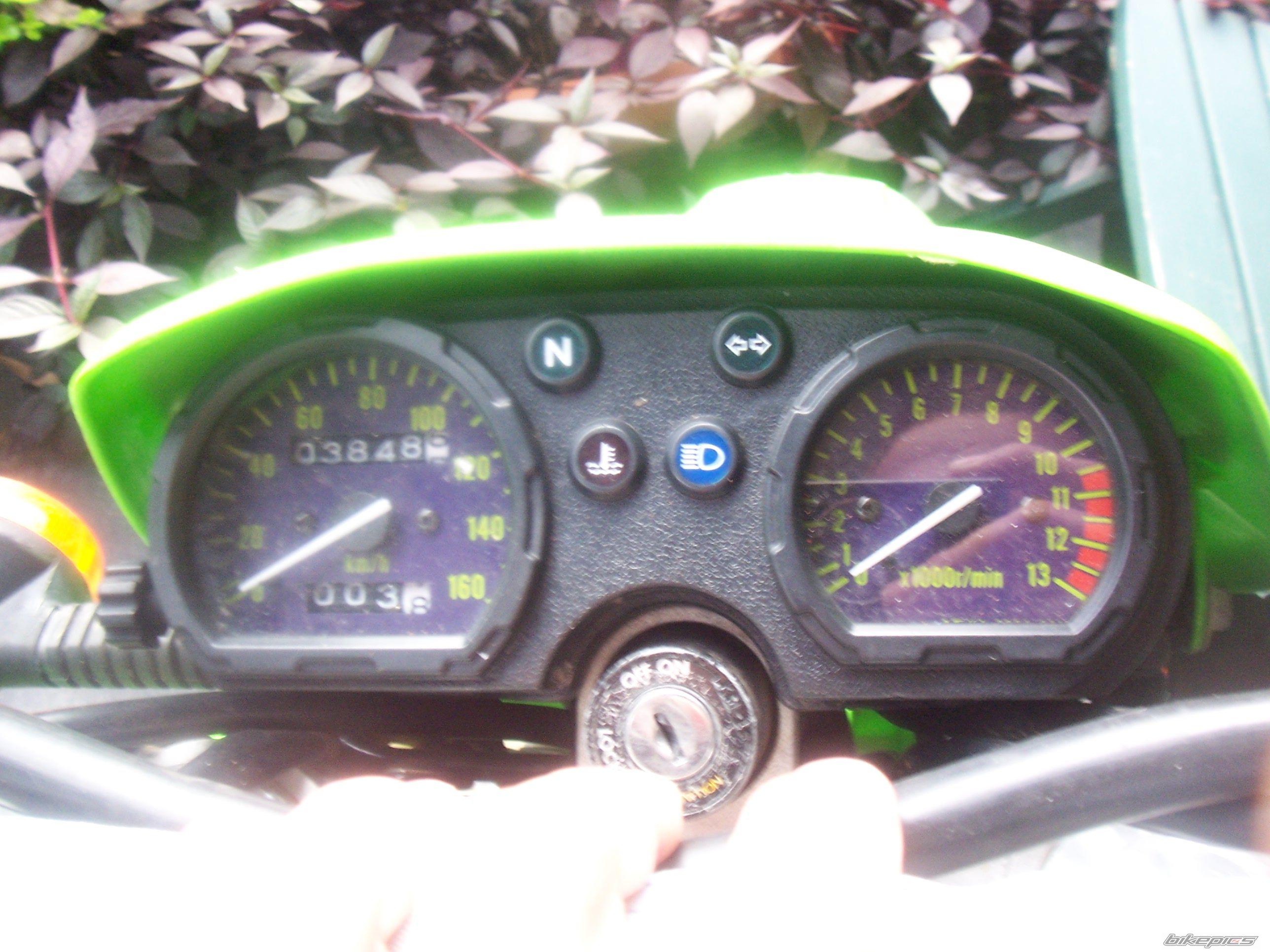 2001 KAWASAKI KLX 250 | Picture 1228087 motorcycle photo