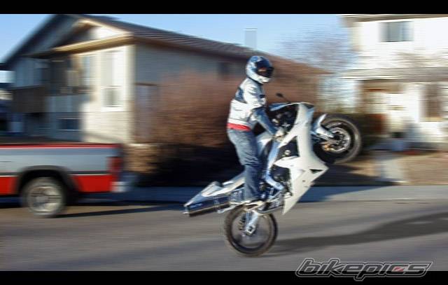 2003 YAMAHA YZF R1 | Picture 122897 motorcycle photo