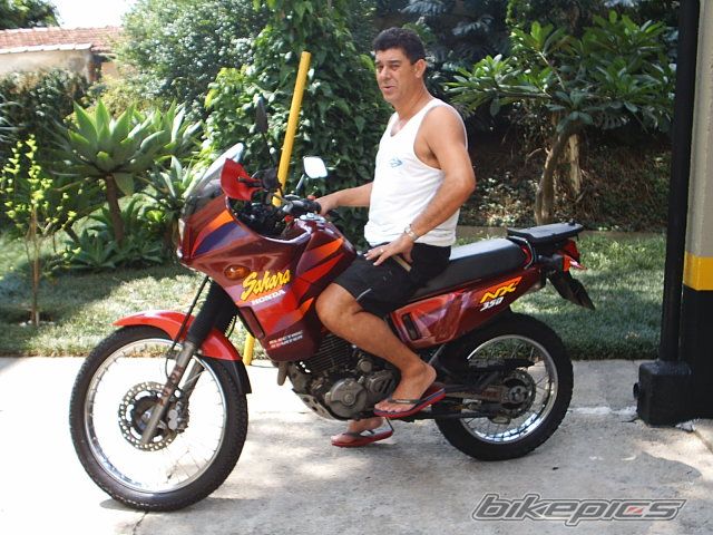 1997 HONDA NX 350 | Picture 1229201 motorcycle photo
