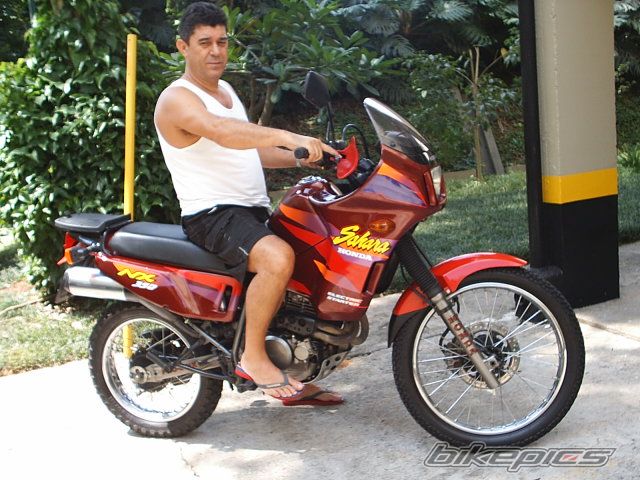 1997 HONDA NX 350 | Picture 1229207 motorcycle photo