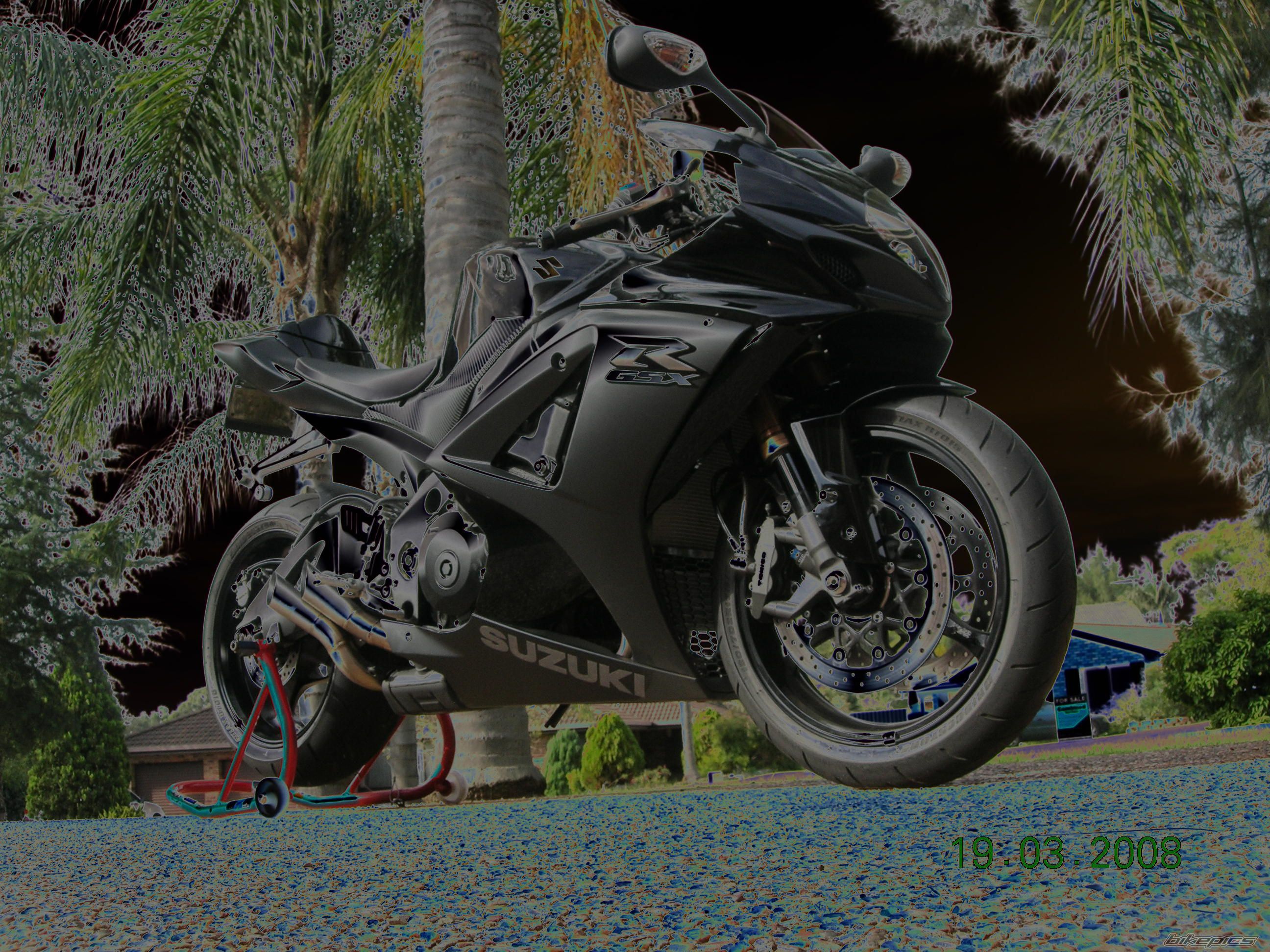 2008 SUZUKI GSX R 1000 | Picture 1229505 motorcycle photo