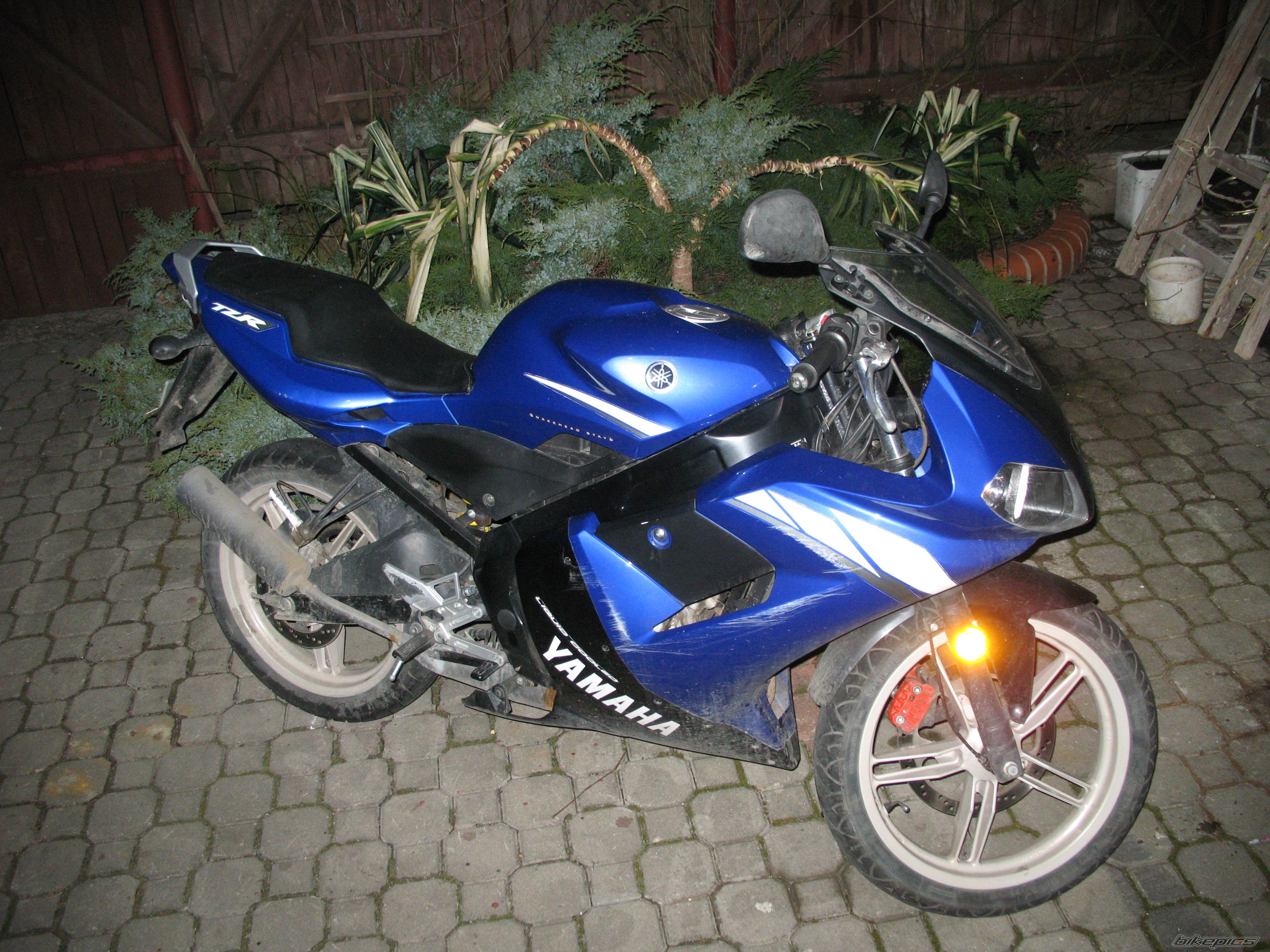 2004 YAMAHA TZR 50 | Picture 1229616 motorcycle photo