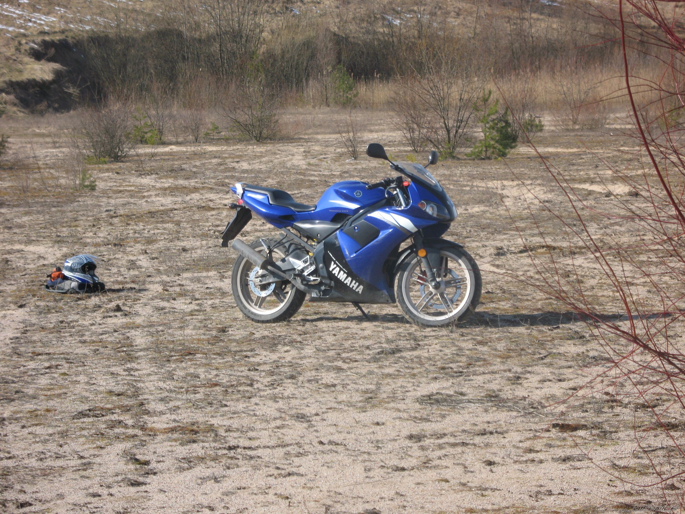 2004 YAMAHA TZR 50 | Picture 1229690 motorcycle photo