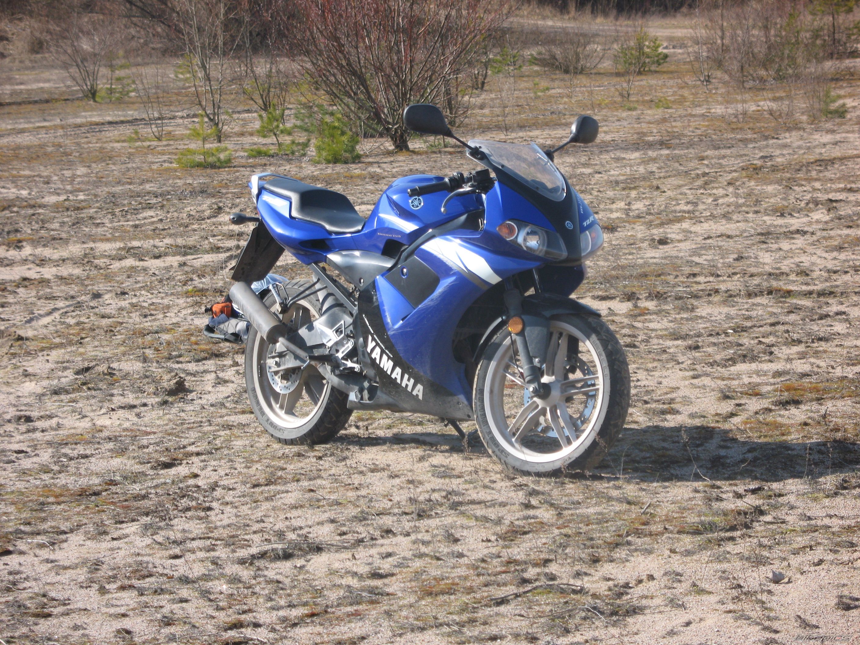 2004 YAMAHA TZR 50 | Picture 1229709 motorcycle photo
