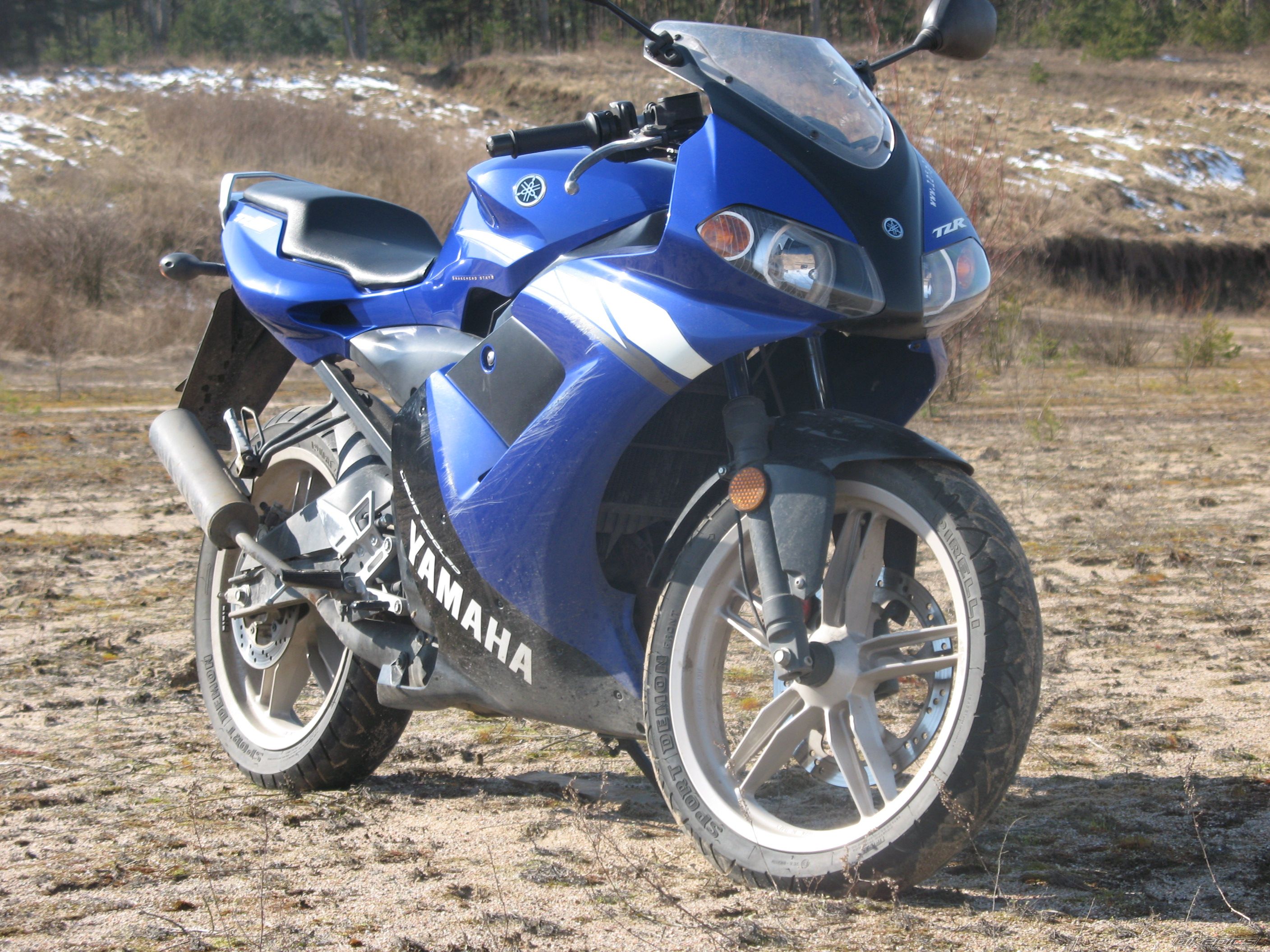 2004 YAMAHA TZR 50 | Picture 1229717 motorcycle photo
