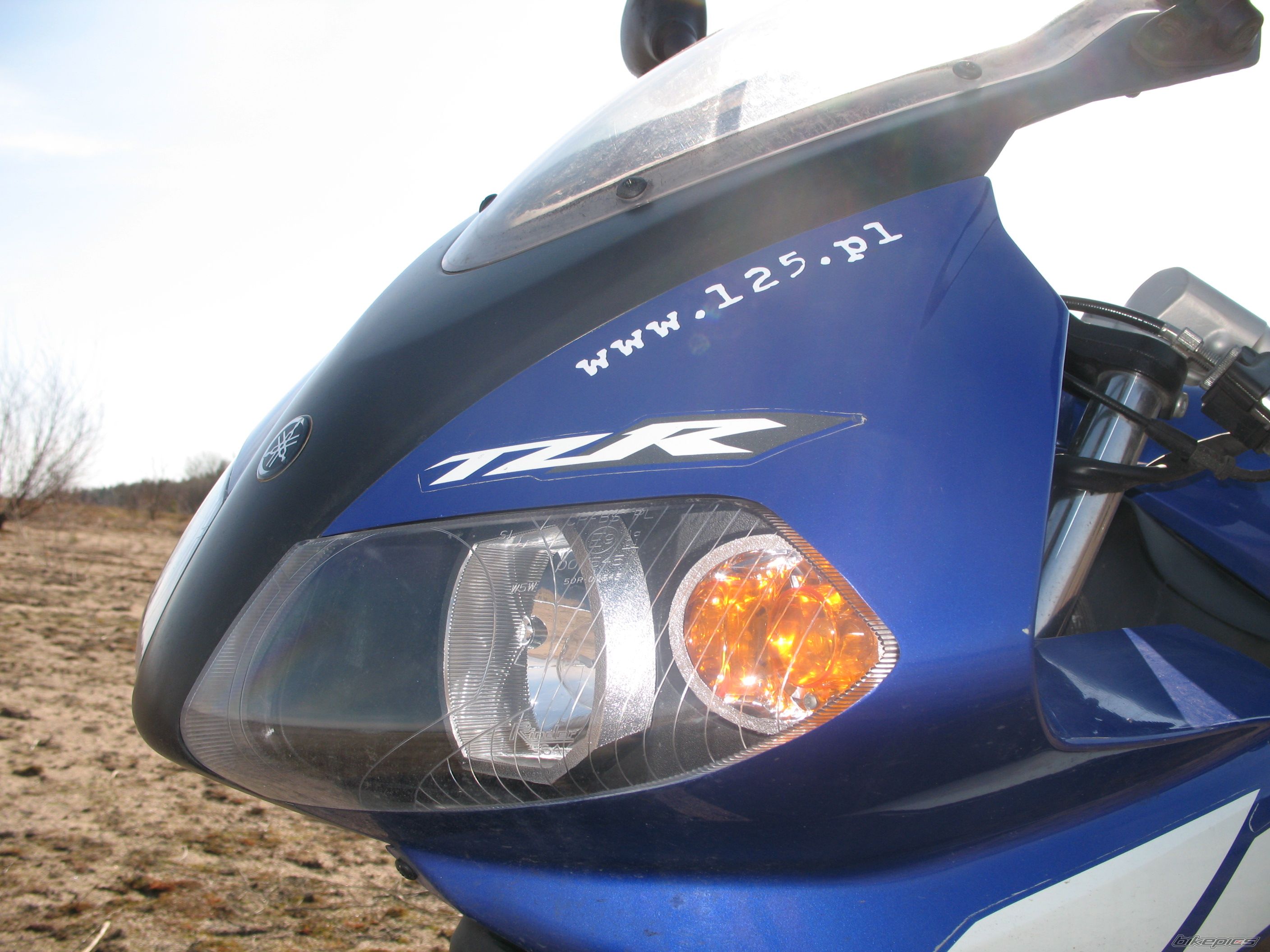 2004 YAMAHA TZR 50 | Picture 1229734 motorcycle photo