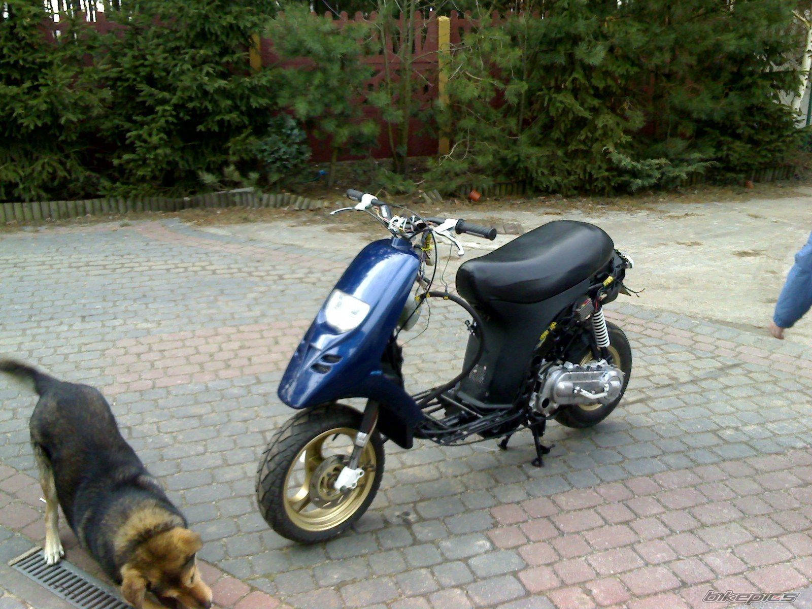 1998 PIAGGIO TYPHOON 50 | Picture 1229861 motorcycle photo