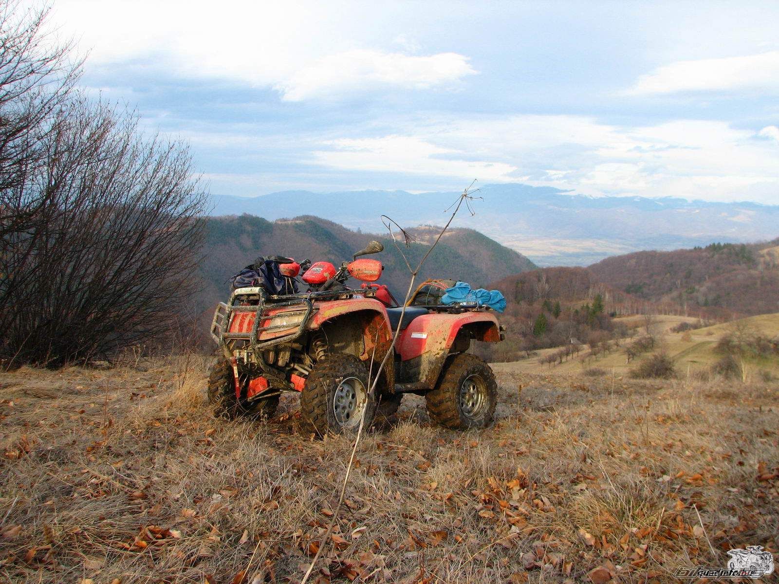 2006 ARCTIC CAT 500 4X4 | Picture 1230009 motorcycle photo