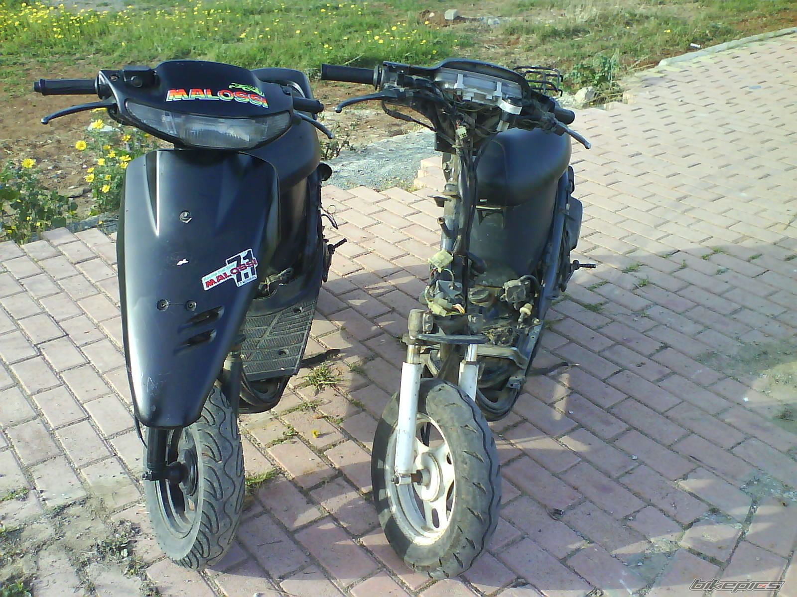 2009 HONDA DIO ZX | Picture 1230101 motorcycle photo