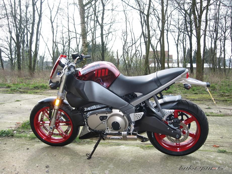 2008 BUELL XB12S LIGHTNING | Picture 1230254 motorcycle photo