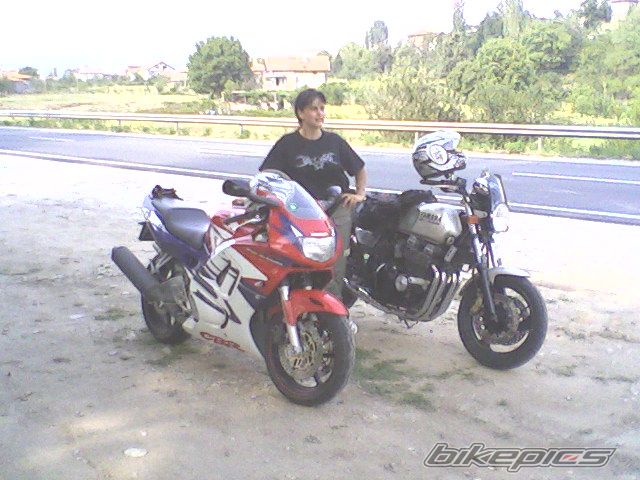 1998 HONDA CBR 600 | Picture 1230856 motorcycle photo