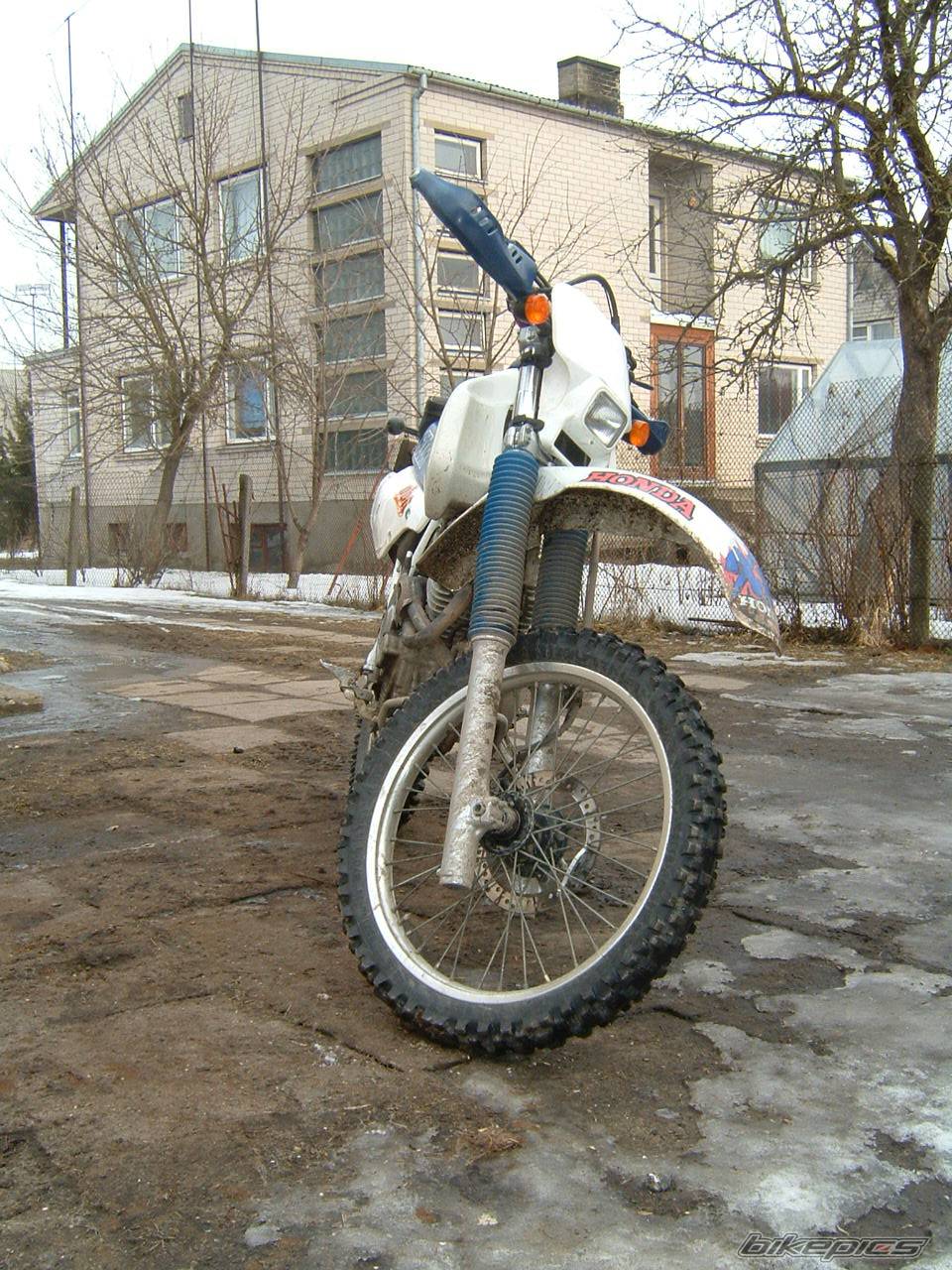 1992 HONDA XR 600 | Picture 123106 motorcycle photo