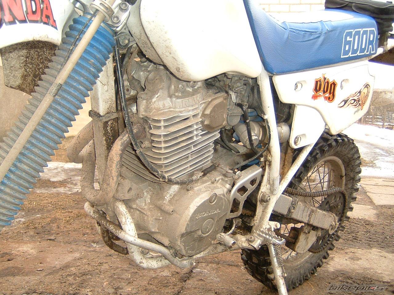1992 HONDA XR 600 | Picture 123109 motorcycle photo