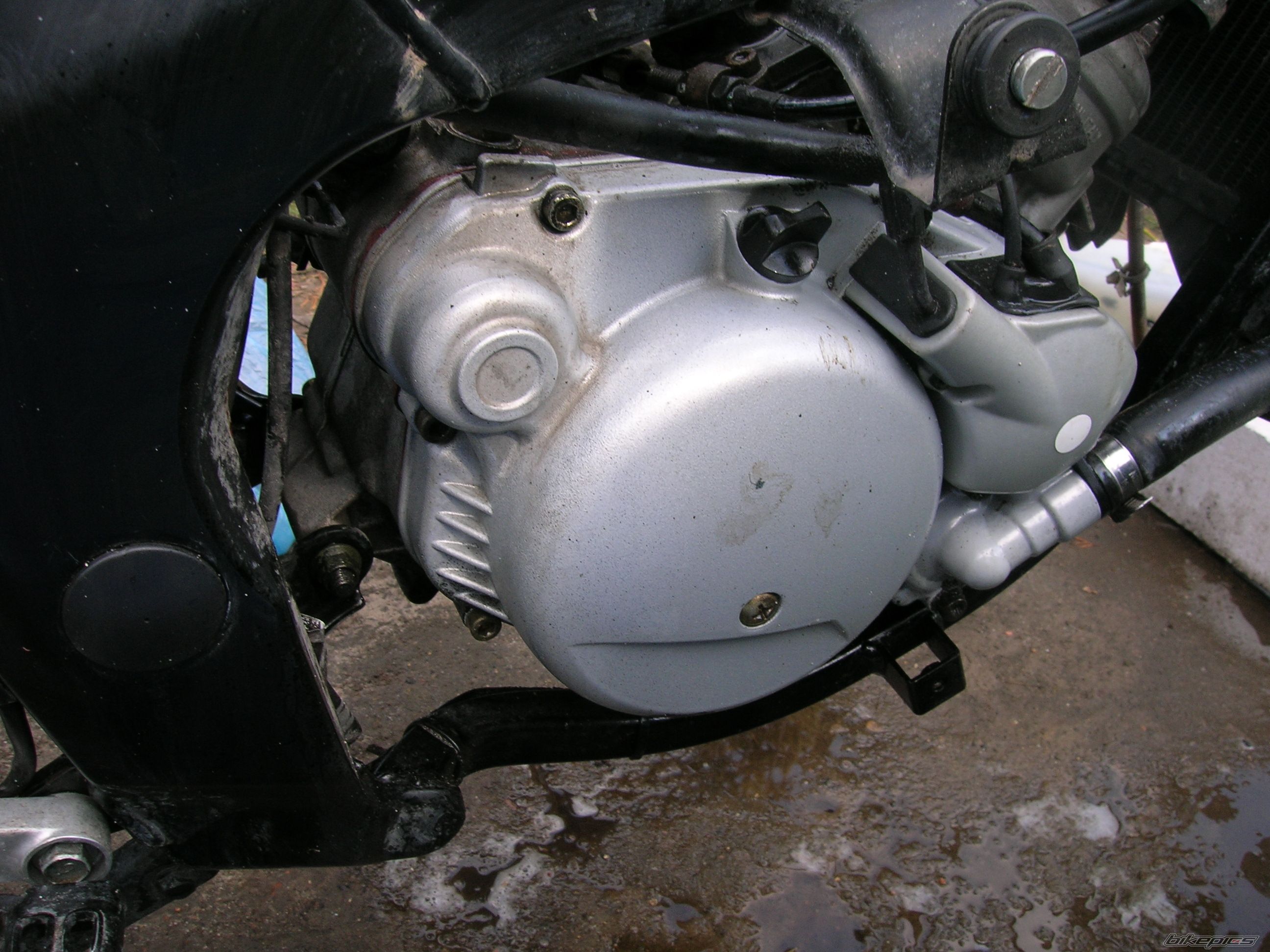 2004 YAMAHA TZR 50 | Picture 1231444 motorcycle photo