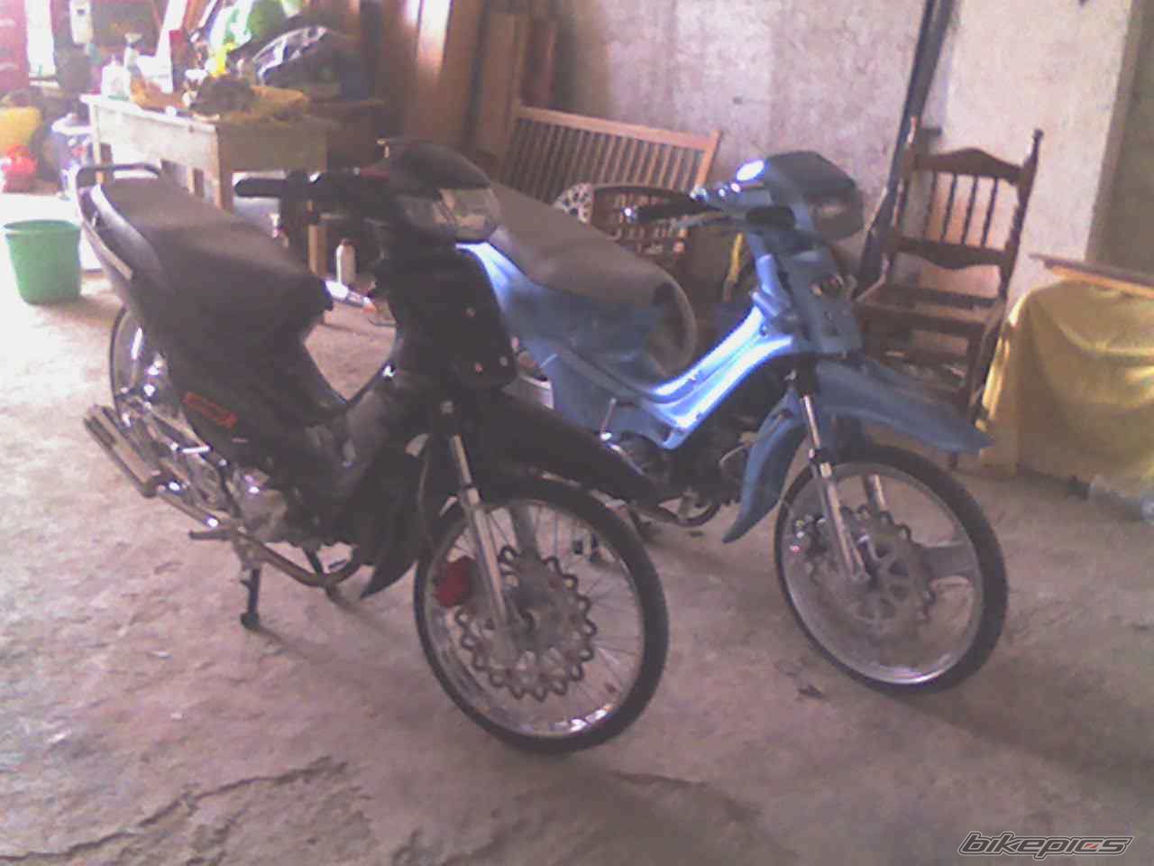 2008 HONDA GLX 50 | Picture 1231449 motorcycle photo