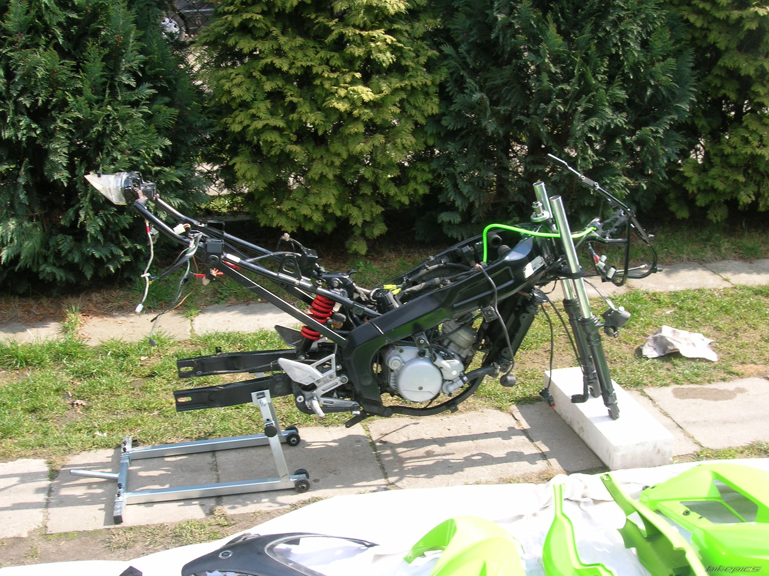 2004 YAMAHA TZR 50 | Picture 1231451 motorcycle photo