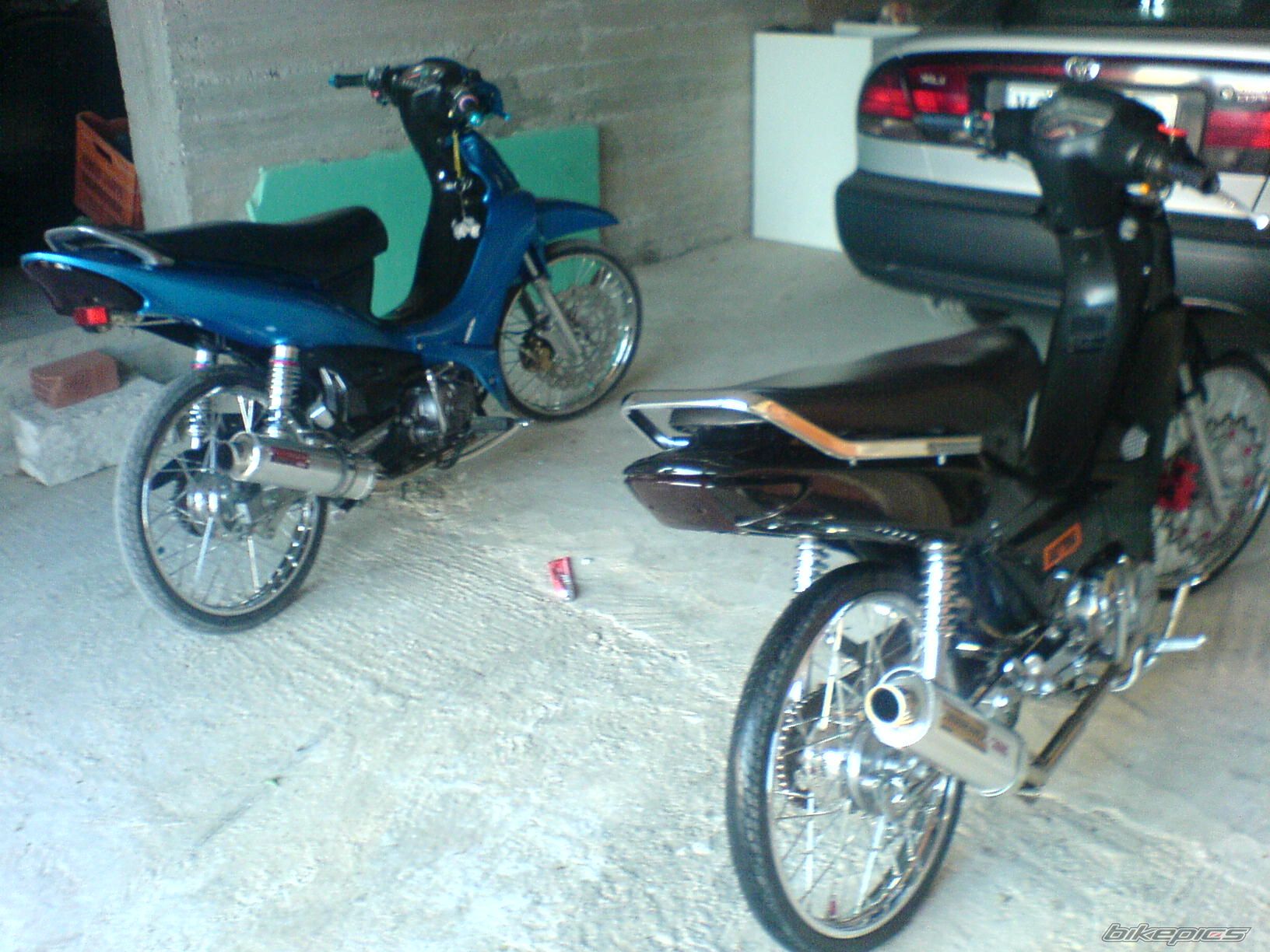 2008 HONDA GLX 50 | Picture 1231453 motorcycle photo