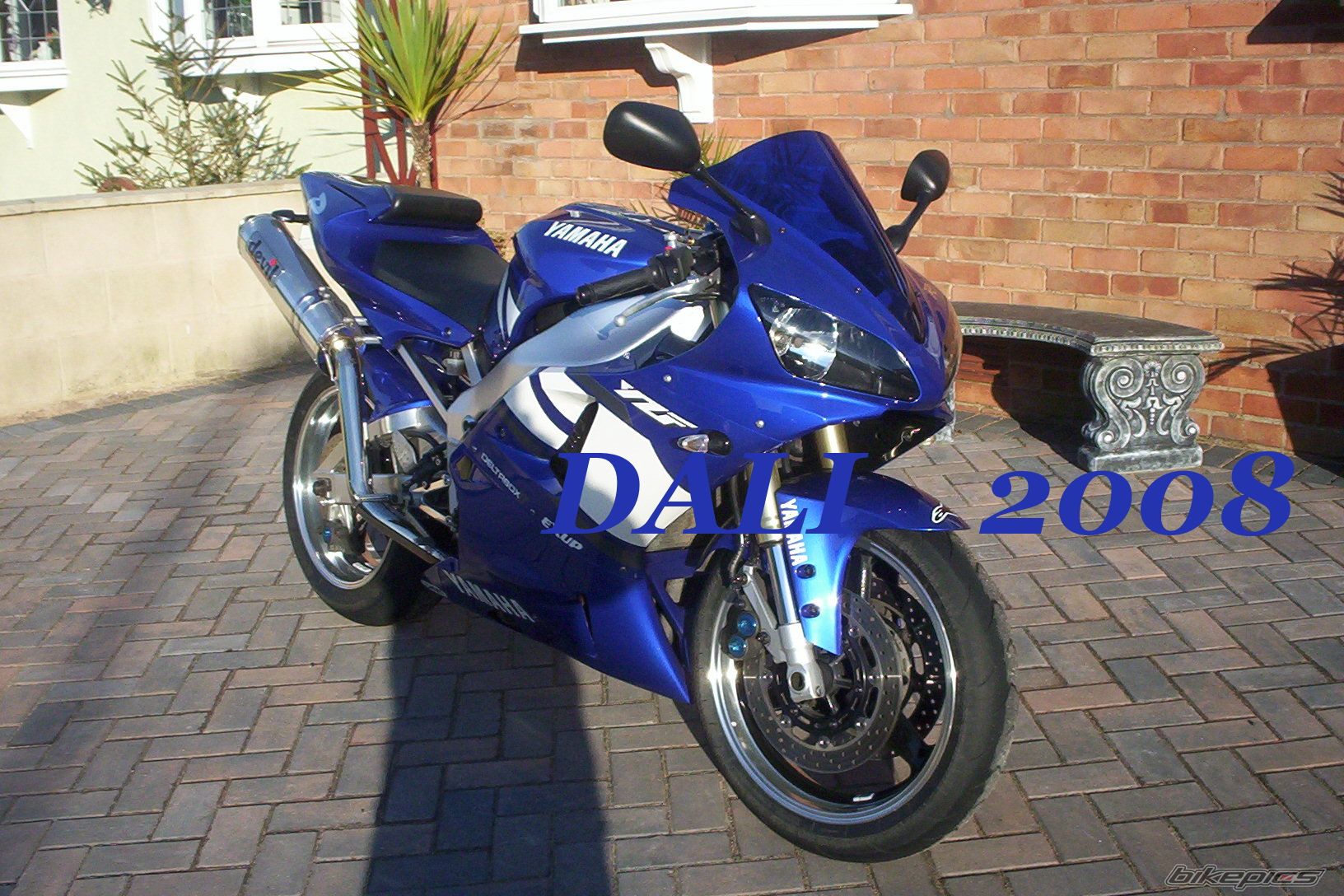 2002 YAMAHA YZF R1 | Picture 1231489 motorcycle photo