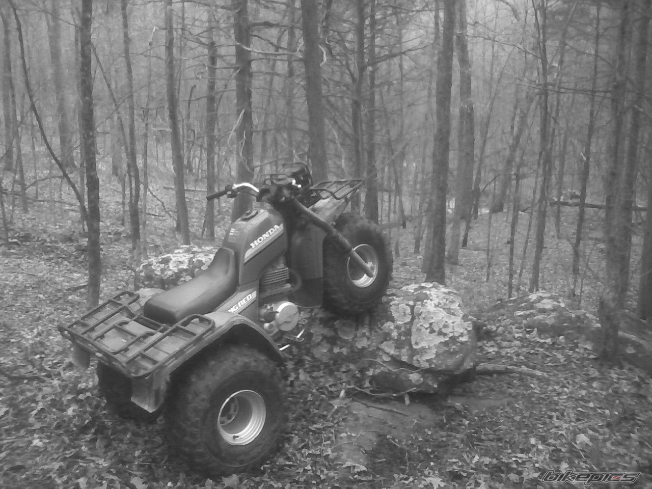 1985 HONDA BIG RED | Picture 1231520 motorcycle photo